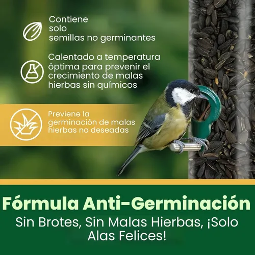 Vista 2 de Happy Wings Semillas de Girasol de Aceite Negro – Alimento para Aves Silvestres de 5 libras para Cardenales, Pinzones y Carboneros – Alimento