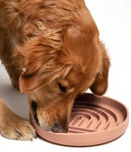 Vista 21 de Should We Go? Alimentador lento para perros y gatos, el tazón Slowdown de silicona, solución para comer lentamente con diseño moderno de alfombrilla