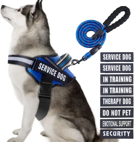 Vista 42 de Juego de Chaleco y Correa para Perro de Servicio, Arnés de Entrenamiento Animire para Perro con 10 Parches para Perros, Correa Reflectante