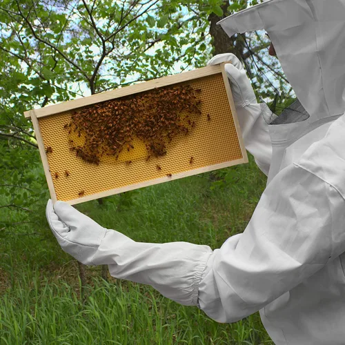 Vista 5 de Honey Keeper Guantes de apicultura - Piel de cabra con manga de lona y puño elástico