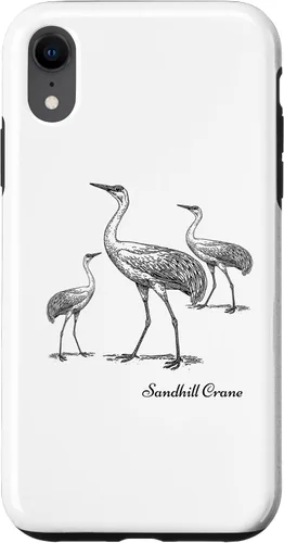 Vista 25 de Sandhill Crane Bird Ornithology Case for iPhone 17