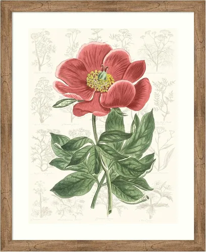 Vista 9 de Amanti Art Vision Studio - Lienzo decorativo para pared, 24 x 20 pulgadas, diseño de jardín de flores de peonía, arte de pared de flores, decoración
