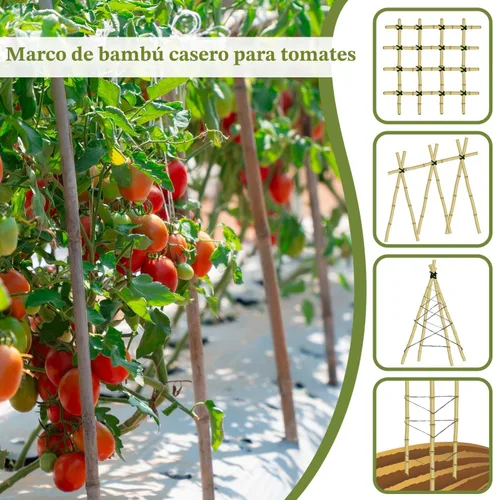 Vista 4 de Estacas para plantas de 3 pies, estacas de bambú natural, 25 estacas