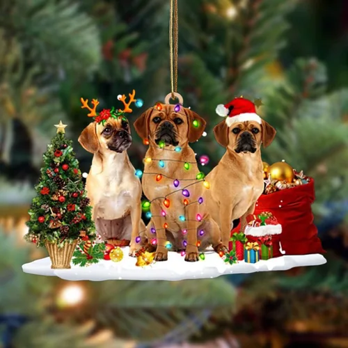 Vista 116 de Nazenti Adorno de Navidad personalizado con amigos Affenpinscher – Adorno de perro personalizado para amantes de las mascotas, acrílico plano