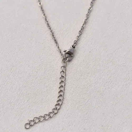 Vista 5 de Collar de acero inoxidable personalizable
