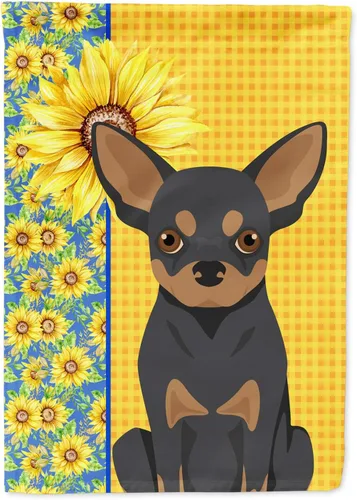 Vista 356 de Caroline's Treasures WDK5313GF Bandera de jardín con diseño de girasoles de verano, color negro y tostado, Airedale Terrier para buzón, bandera
