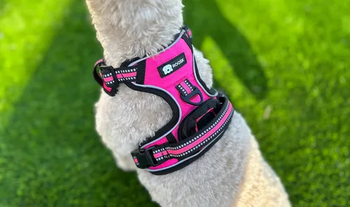 Vista 7 de ROOSK Arnés para perro Sin tirones, reflectante, ajustable en 4 direcciones con soporte para bolsa de excrementos Máxima comodidad, suave