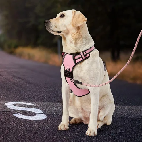 Vista 6 de IVY&LANE Arnés sin tirones para perros medianos, arnés de chaleco para perro con correa, cinturón de seguridad y correa de almacenamiento, arnés