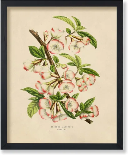 Vista 20 de Poster Master Póster Vintage de Titmouse Canadiense - Impresión Retro de Aves de América - Arte de Aves - Regalo para Hombres, Mujeres y Amantes