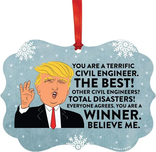 Vista 124 de Andaz Press Presidente Donald Trump Fancy Frame Recuerdo Adorno de Navidad Regalo de broma Ejecutivo de Cuenta, 1 paquete, Divertidas Ideas