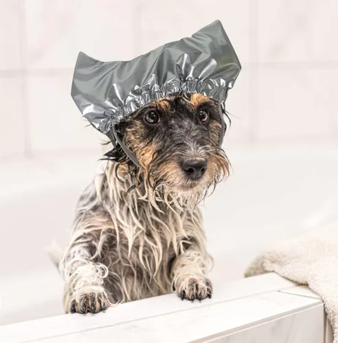 Vista 4 de Pet Supplies - Gorro impermeable de baño para gatos y perros, gorras de ducha para mascotas, banda de goma larga ajustable impermeable para perros