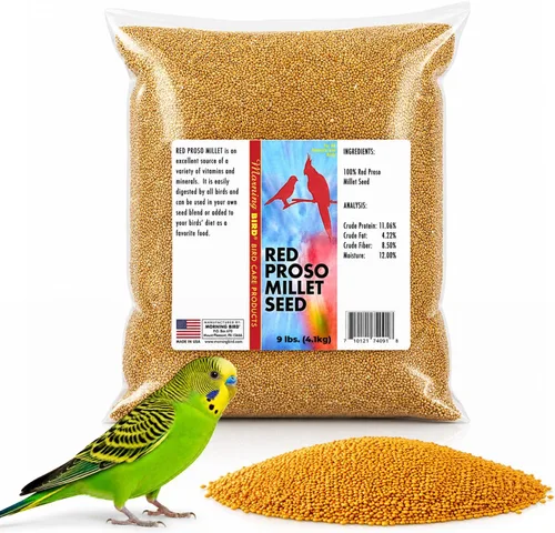 Vista 41 de Semillas de cáñamo Morning Bird, 4.5 lb