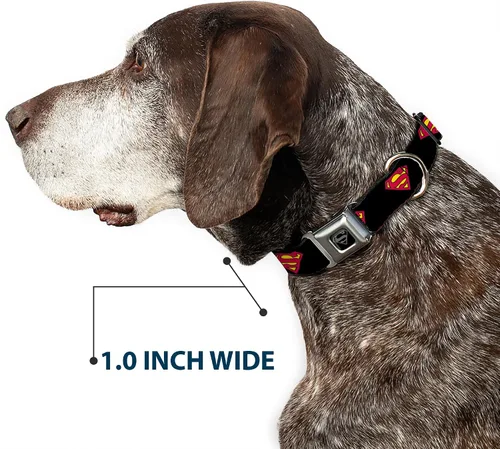 Vista 6 de Buckle-Down Collar de perro con hebilla de cinturón de seguridad, Superman Shield negro, 1 pulgada de ancho, se adapta a cuello de 9 a 15 pulgadas