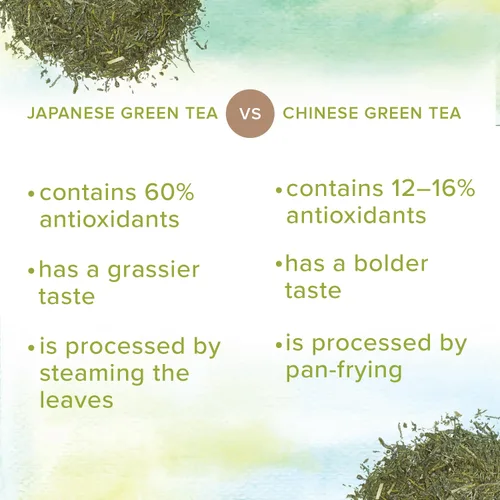 Vista 5 de Bolsas de té verde Sencha (25 paquetes), bolsas de té verde japonés orgánico (25 bolsas), auténtico té sencha japonés de First Leaves, 3.53 onzas