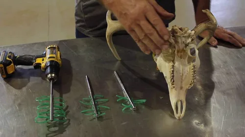 Vista 3 de Raptorazor Herramienta de limpieza Scrambler Deer and Elk Skull