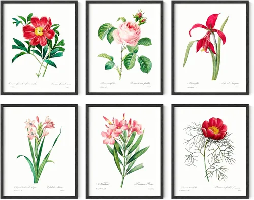Vista 40 de HAUS AND HUES Pósteres florales y de plantas, juego de 6 impresiones botánicas, arte de pared de flores y plantas, decoración botánica