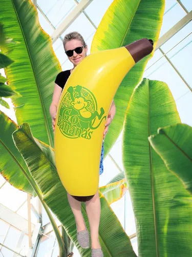 Vista 7 de Vinilo inflable de plátano amarillo fresco (44 pulgadas). Fruta segura para inflar. Juguete de piscina. Decoración de fiesta.