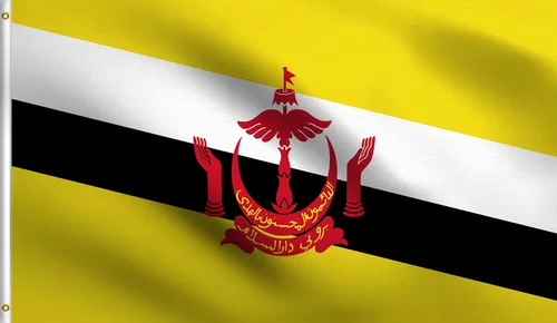 Vista 153 de DMSE - Bandera nacional beninesa beninesa de la República de África Occidental, 2 x 3 pies, 100 % poliéster, 100 % poliéster, resistente a los rayos