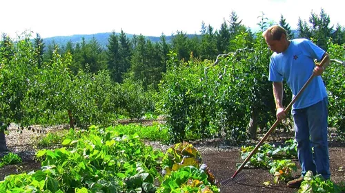 Vista 6 de Back To Eden Film - Simple. Sustainable. Solutions.