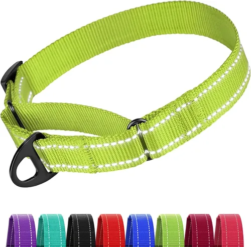 Vista 7 de CollarDirect Martingale - Collar de nailon resistente para perros pequeños, medianos y grandes [nailon, estampado, aguamarina, L, 15-20 pulgadas)