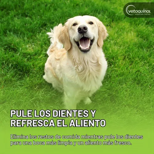 Vista 5 de Vetoquinol Enzadent - Pasta de dientes enzimática para gatos y perros, 3.2 onzas, sabor a aves de corral, fórmula triple enzimática para dientes