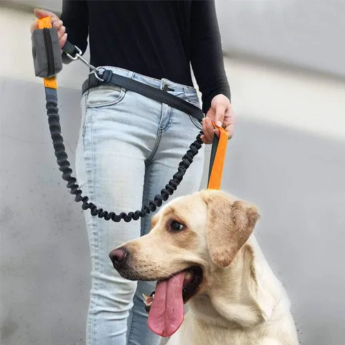 Vista 7 de SLSON Dispensador de bolsas de basura para mascotas, bolsa portátil con cremallera, soporte portátil para bolsas de excremento de perro con fijación