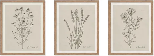 Vista 50 de Poster Master Póster botánico vintage de 3 piezas, estampado floral retro, regalo para artistas, amigos, flores de acuarela, brillante, azul