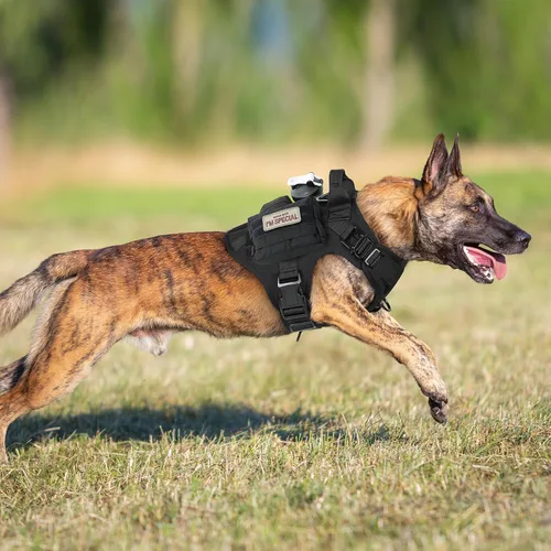 Vista 8 de rabbitgoo - Arnés táctico para perros pequeños, arnés resistente para mascotas con asa, chaleco de servicio sin tirones para razas pequeñas, chaleco