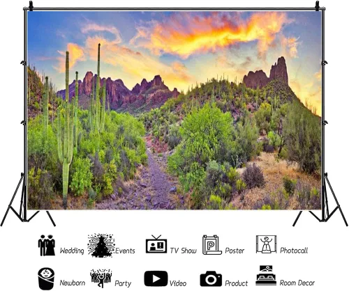 Vista 2 de AOFOTO Telón de fondo del desierto occidental de 6 x 3 pies, Parque Nacional Arizona, Roca, Montaña, Plantas Verdes Saguaro, Cactus Paisaje