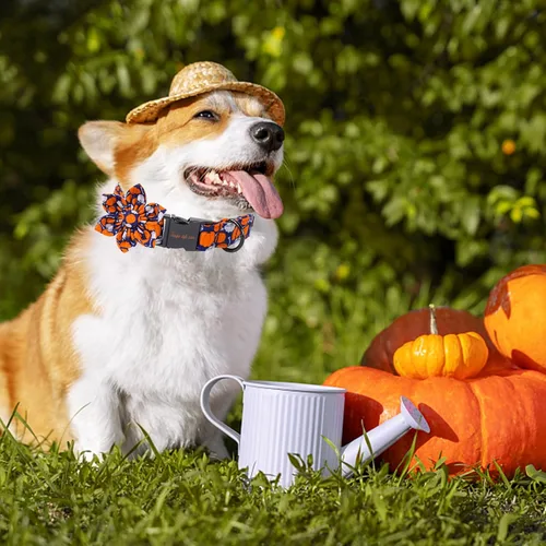 Vista 5 de Collar de perro de Halloween de estilo único con arco de flores de Unique Style Paws, collar de calabaza de algodón para perros pequeños, medianos