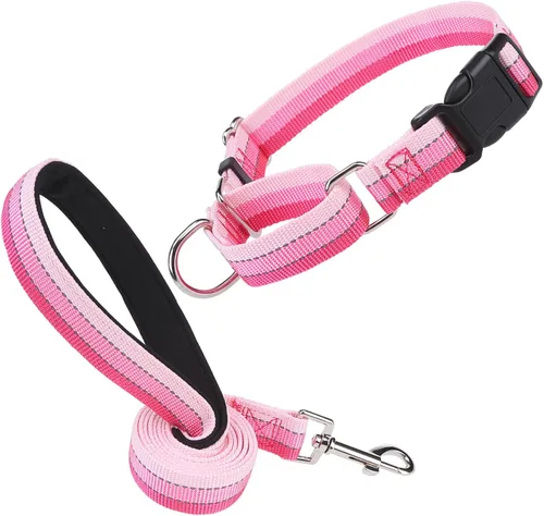 Vista 8 de Martingale - Juego de collar y correa para perro, para caminar, jugar, entrenar, collares reflectantes ajustables con correa para perros pequeños