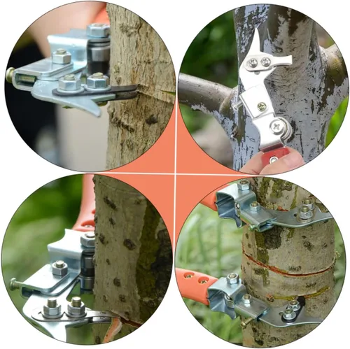 Vista 7 de 1 juego de cortador de anillos de fruta, tijeras de podar, cortador de manzana, herramienta de jardín, herramienta de poda, cortador de anillos