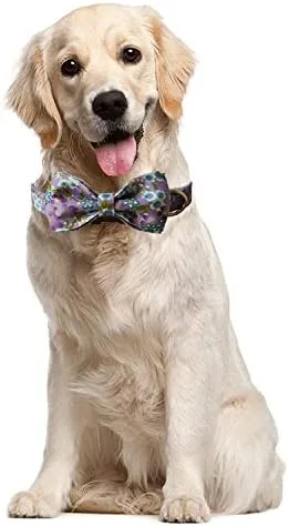 Vista 6 de Collar de perro con lazo, collares de perro resistentes con hebilla de liberación rápida, collares ajustables con corbatín para perros pequeños