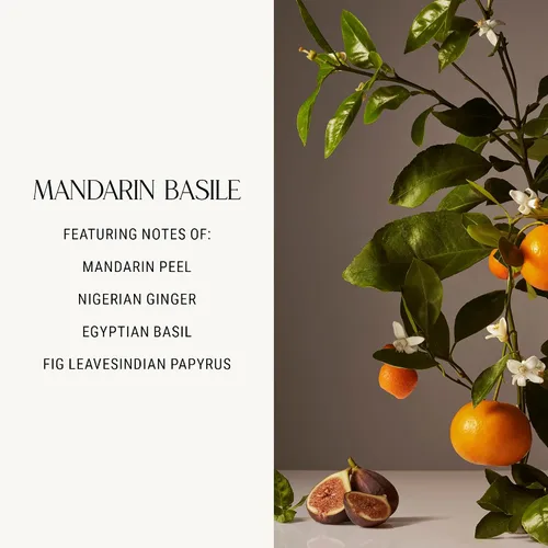 Vista 2 de Homecourt Crema de manos de albahaca mandarina (12 onzas líquidas), dermatológicamente probada, no grasa, humectante, formulada con extracto de flor