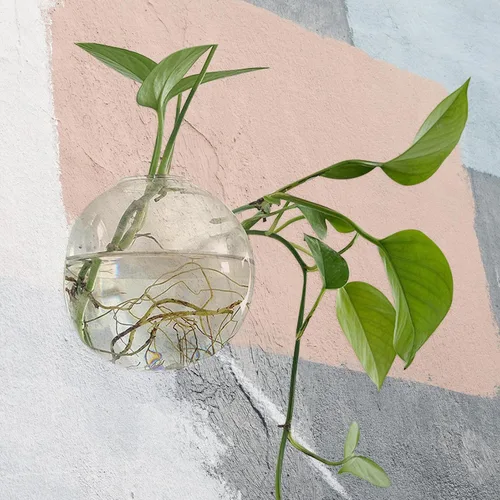 Vista 6 de Wall Hanging Hydroponic Glass Planter Vase 15cm Hanging Flower Pot with No-Trace Nail for Indoor Greenery and Succulent Propagation