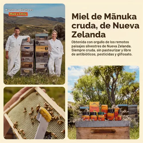 Vista 8 de Wedderspoon Miel de manuka cruda premium, 850+ MGO, 8.8 onzas, miel de Nueva Zelanda sin pasteurizar, desde nuestras colmenas hasta tu hogar