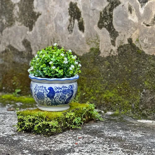 Vista 7 de HakkaGirl Chinese - Pequeña maceta de porcelana azul y blanca.