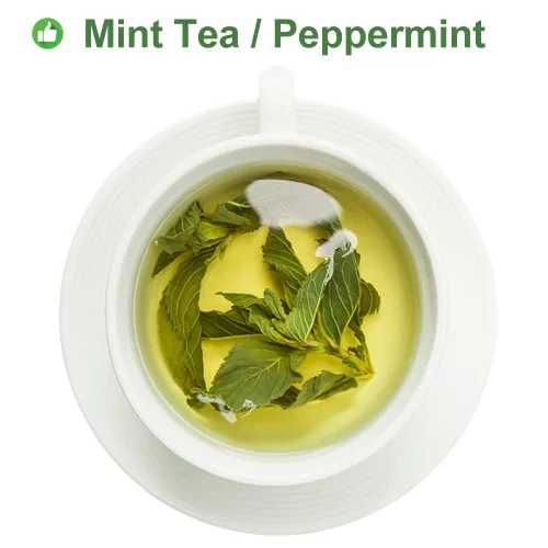 Vista 2 de Plant Gift Té 100% menta, té de menta, hojas de menta, té saludable, bolsas de té de menta orgánica, flor saludable, té de menta 0.7 onzas