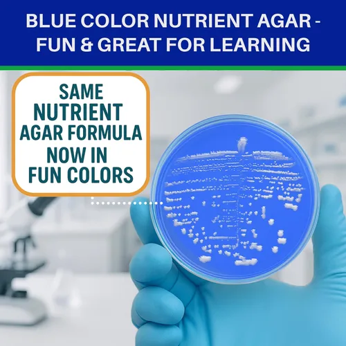 Vista 3 de Evviva Sciences - Kit de proyectos científicos de agar de nutrientes Petri, placas de agar previamente vertidas para experimentos científicos