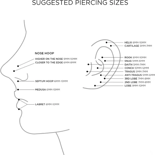 Vista 5 de Tiny Mini BFF Animal Lover Pet Cat Puppy Paw Print Stud Earrings Cartilage Ear Lobe For Women Teen Real 10K-14K Yellow Gold Screw back