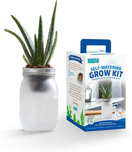 Vista 8 de Back to the Roots Kit de cultivo de riego automático, macetas hidropónicas de vidrio para suculentas y sistema de riego automático de cactus