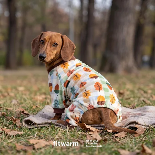 Vista 4 de Fitwarm Acorn & Leaves - Pijama de forro polar para perro, traje de Acción de Gracias para perros pequeños, niños y niñas, ropa festiva