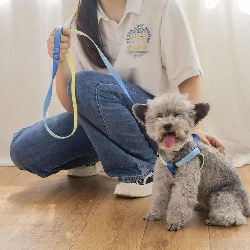 Vista 5 de AIITLE Arnés para perro, correa y collar sin tirones, collar básico ajustable con una correa resistente, hebilla súper resistente y anillo en D, Azul