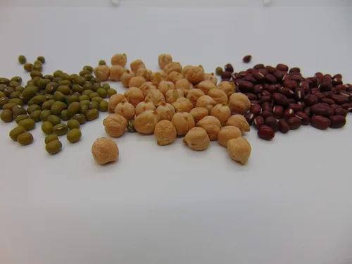 Vista 2 de Paquete surtido de 3 semillas germinantes de frijoles – (2 onzas de haba Adzuki, 2 onzas de haba garbanzo, 2 onzas de frijol mungo). Marca Country