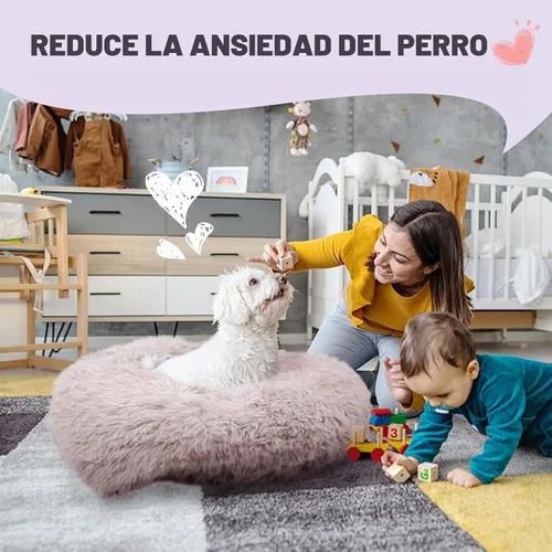 Vista 7 de Himax - Cama para perros pequeños cubierta con manta adjunta, color beige