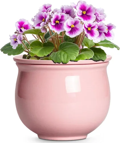 Vista 9 de Macetas de riego automático de 6 pulgadas para plantas de interior, macetas de cerámica violeta africana con maceta interior absorbente, maceta