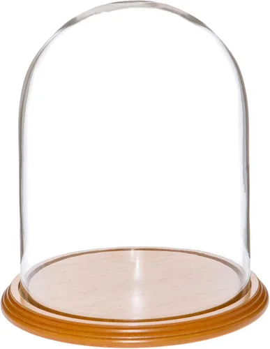 Vista 6 de Plymor Cúpula de cristal de 8" x 10.25" (base de chapa de nogal)