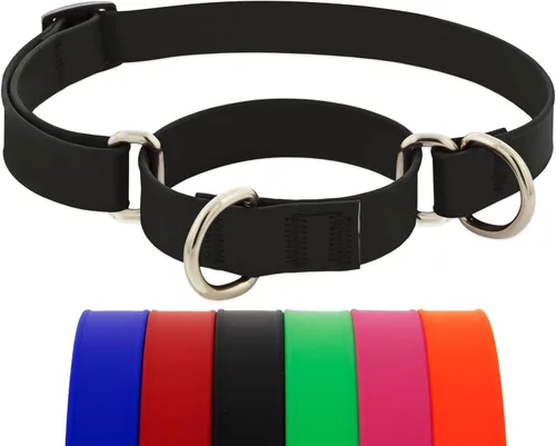 Vista 9 de LupinePet Collar de perro impermeable Splash Martingale, rosa neón, 3/4 pulgadas de ancho, se ajusta de 14 a 20 pulgadas, fabricado con BioThane