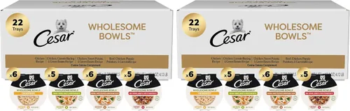 Vista 10 de Cesar Wholesome Bowls - Alimento húmedo para perros adultos, paquete variado, comida húmeda para perros, 3 onzas, cuencos, 22