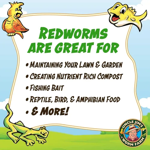 Vista 3 de Uncle Jim's Worm Farm Mezcla de gusanos de compostaje Red Wiggler de 250 unidades para suelo de jardín o pesca Paquete de iniciación de gusanos